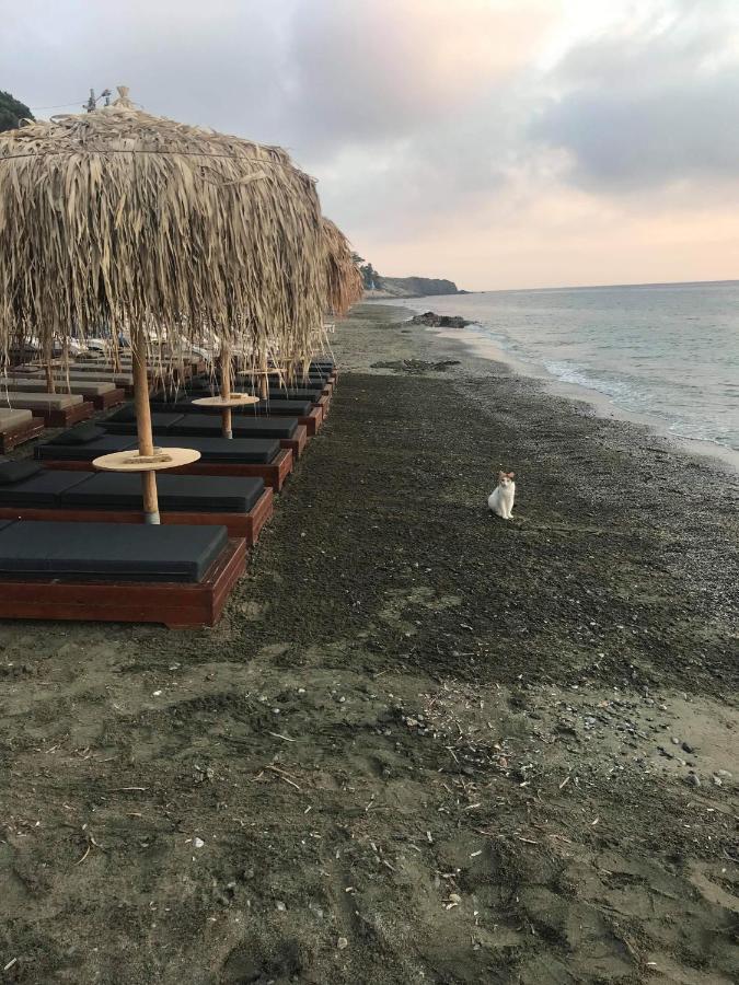 La Playa Boutique Apartments Mirtiész Kültér fotó
